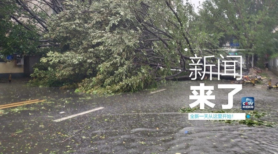 “山竹”怒過，高空塔吊你還好嗎？